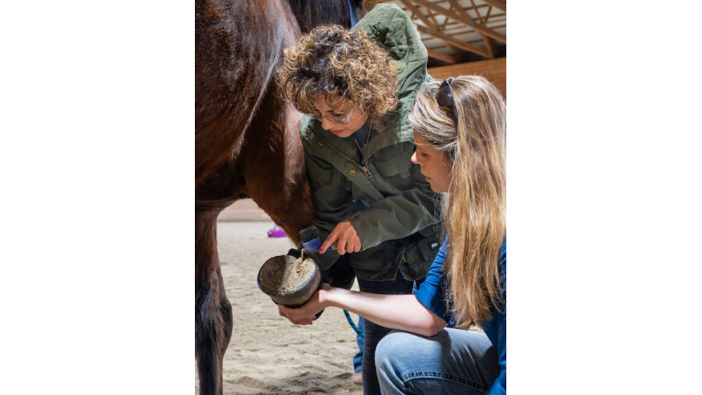 Talisman Therapeutic Riding