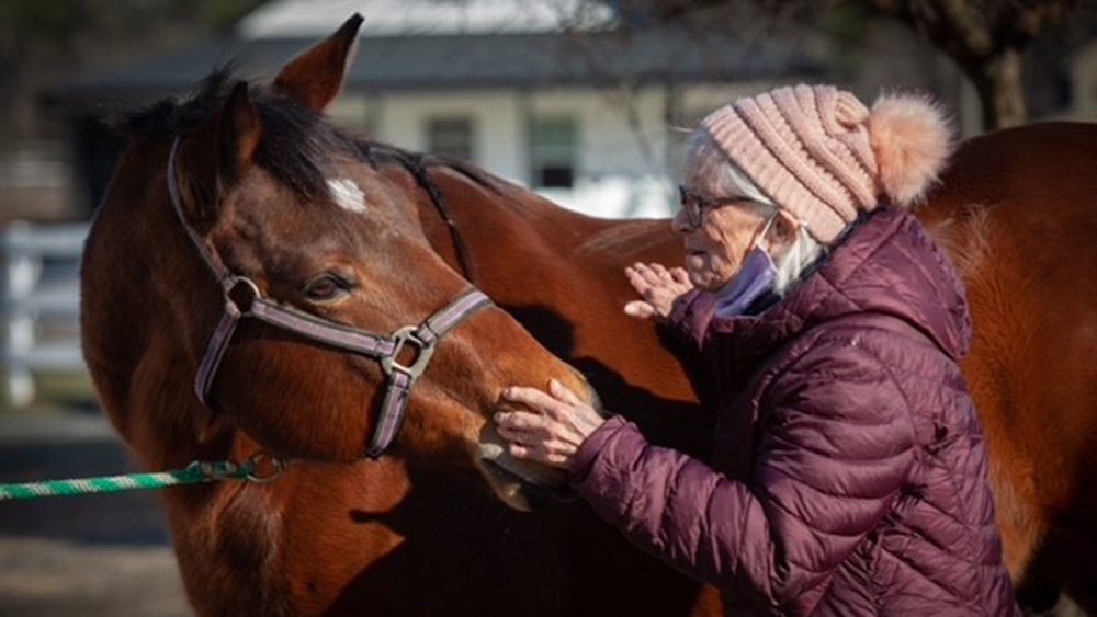 Talisman Therapeutic Riding