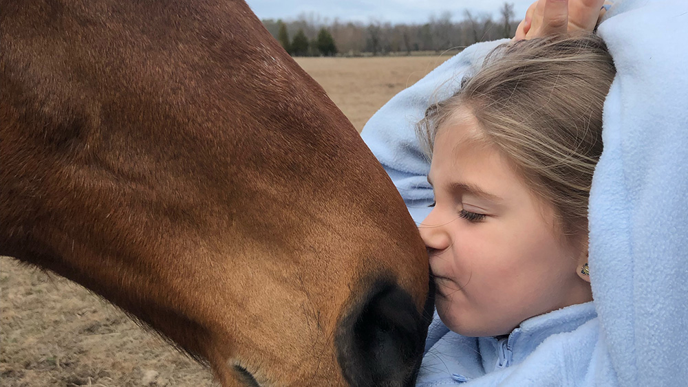 Talisman Therapeutic Riding