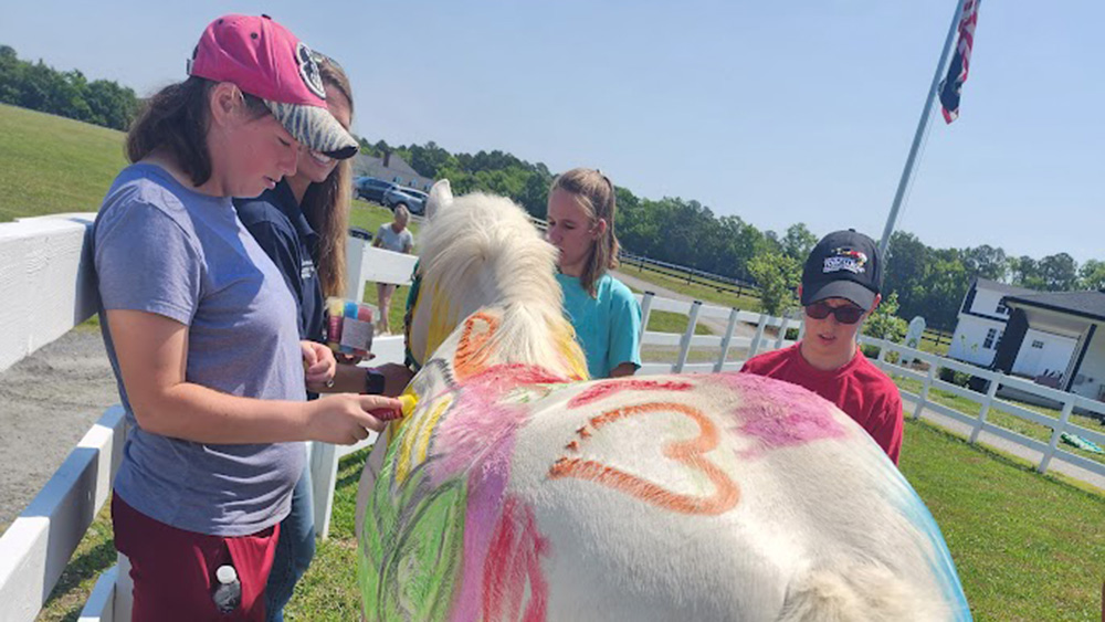 Talisman Therapeutic Riding