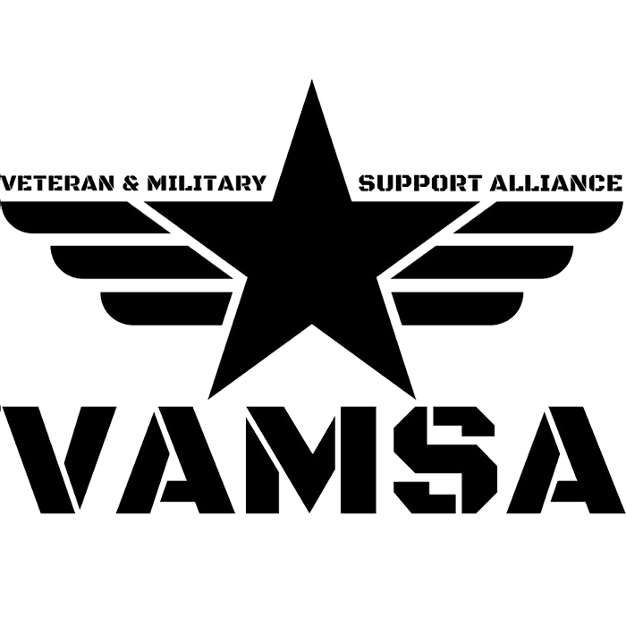 VAMSA logo